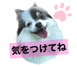 433472220