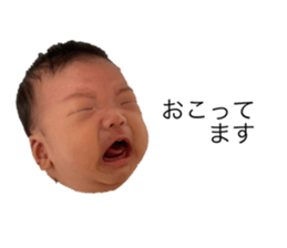 433520254