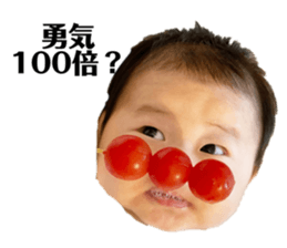 433532482