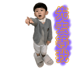 433539017