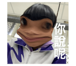 433541336