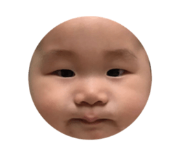 433550867