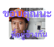 433569733