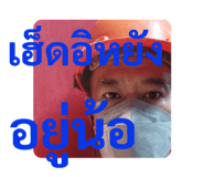 433569740