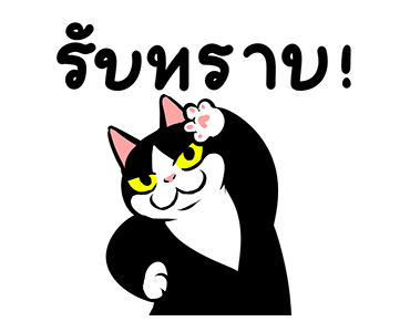 แมวดำก๊วนกวน รูปที่ 2