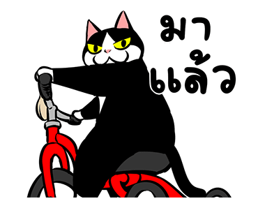 แมวดำก๊วนกวน รูปที่ 5