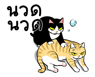 แมวดำก๊วนกวน รูปที่ 6