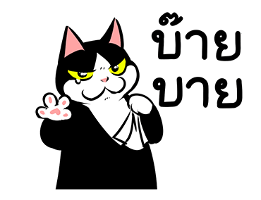 แมวดำก๊วนกวน รูปที่ 8