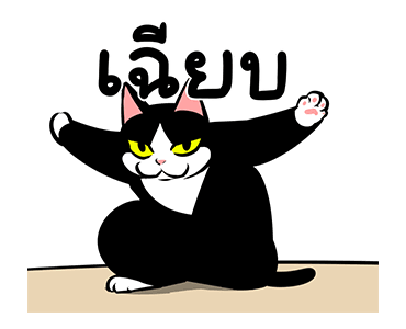 แมวดำก๊วนกวน รูปที่ 9