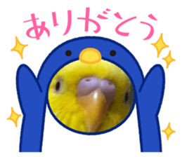 433675475