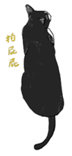 433722542