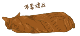 433722547