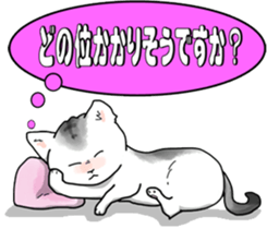 4337623