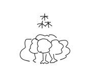 433805680
