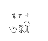 433805681