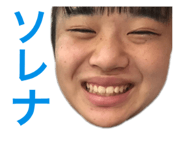 433808012