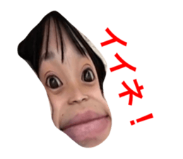 433808013