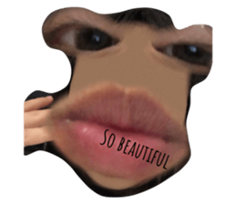 433893071