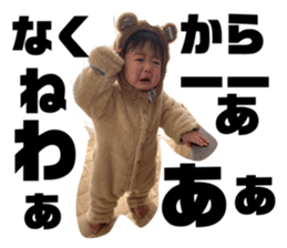 433902019
