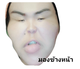 43396814