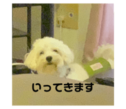 434012020