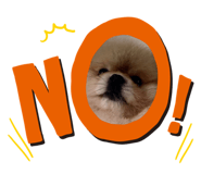 434015194
