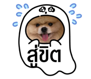434015196