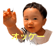 434034299
