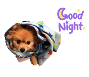 434051332