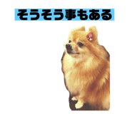 434051333