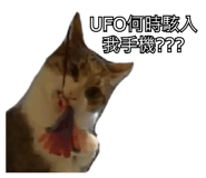 434068316