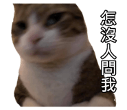 434068320