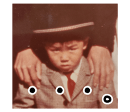 434113953