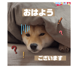 434232328