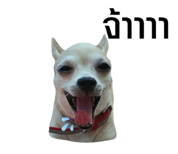 434244238