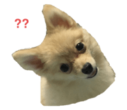 434271894