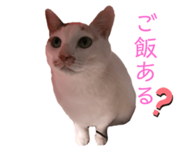 434276840