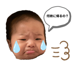 434305582