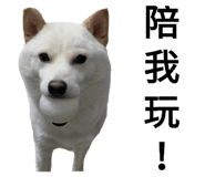 434308528