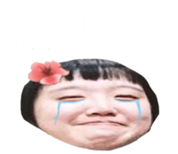 434308551