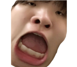 434308563