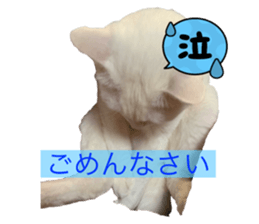 434316731