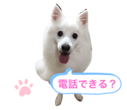 434364306