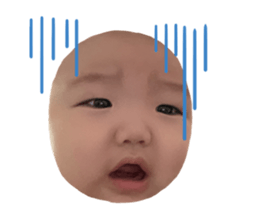434373779