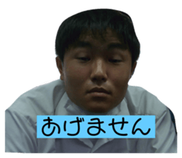 434400047