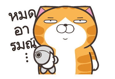 เหมียวซ่า : เป็นแมวตลก รูปที่ 2