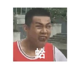 434425741