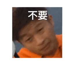 434425758