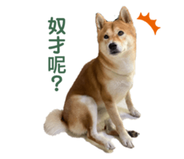 434425775