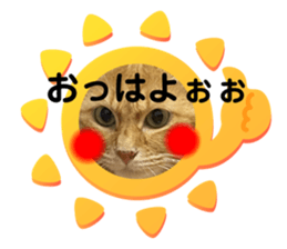 434448944